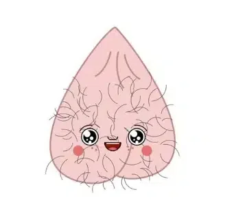 Ballsack Dorkel