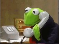 callfrog