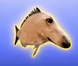 Borzoi Fish