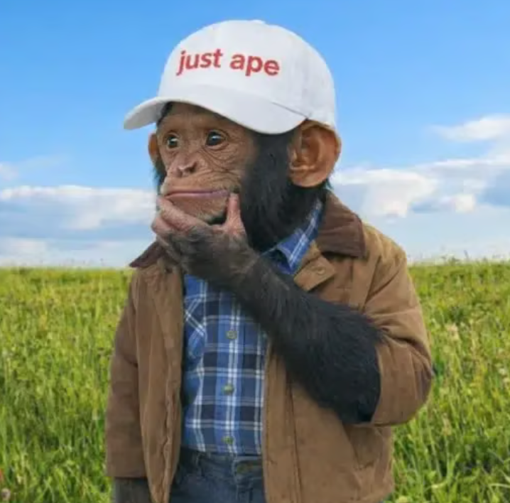 APE logo