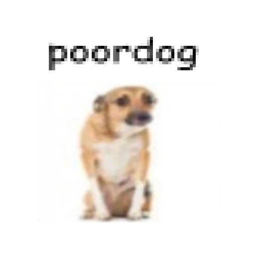 poordog logo