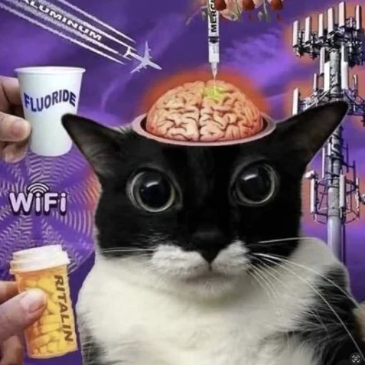 brainrot