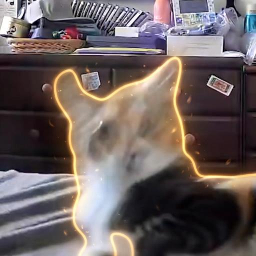 quakecat