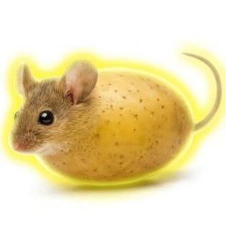 Mouse potato