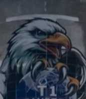 Eagle