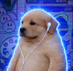 VIBEBUY