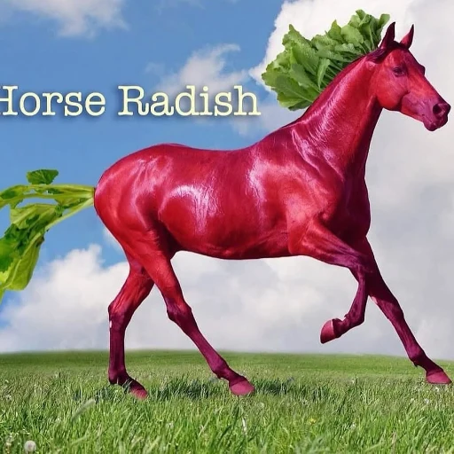 Horseradish
