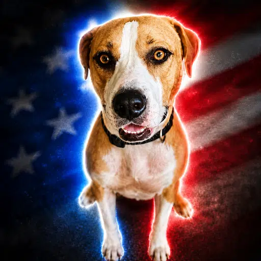 Justice For Liberty logo