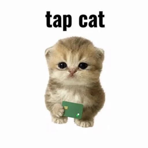 tap to buy logo