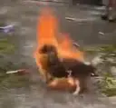 冬冬