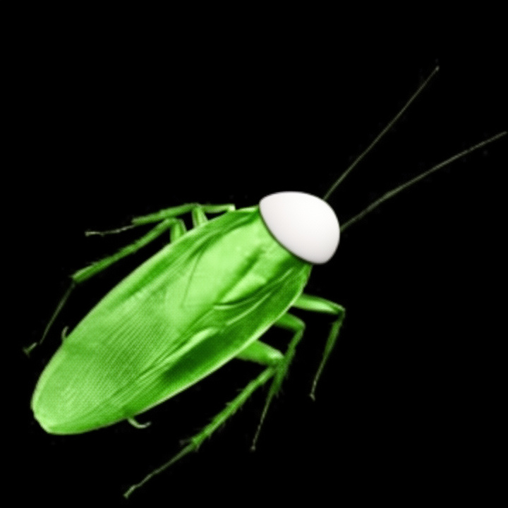 COCKROACH logo