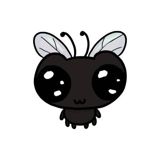 FLY