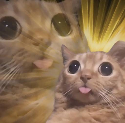 uhh cat logo
