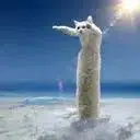 LOOOOOOOOO