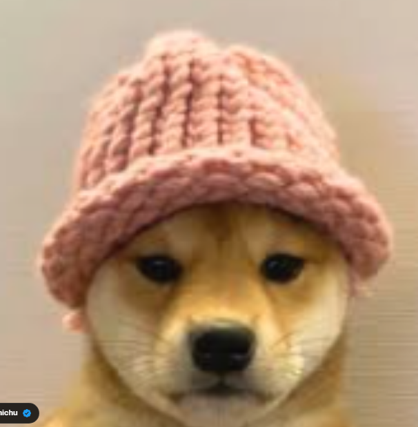 WIF