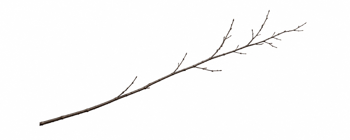 stick logo