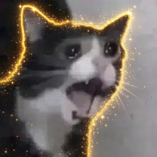 ACTUAL MASCOT OR R/MEMES logo