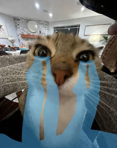 SOBCAT logo
