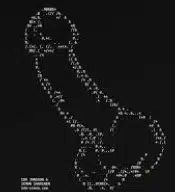PP