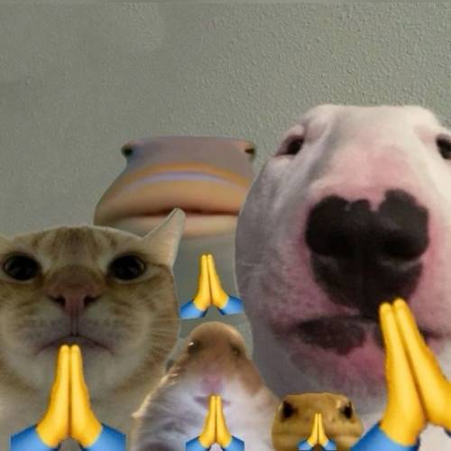 pls