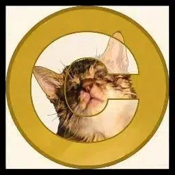 He's from US token artwork