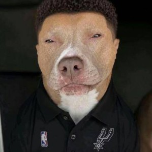 bitch