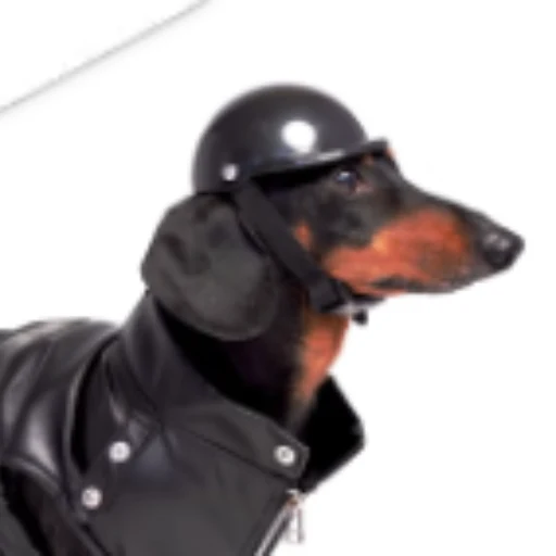 taxdog logo