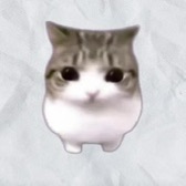 Meowpin