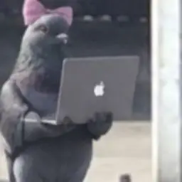 puter