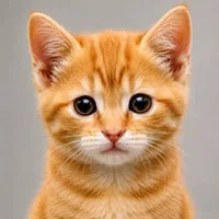 just a cat logo
