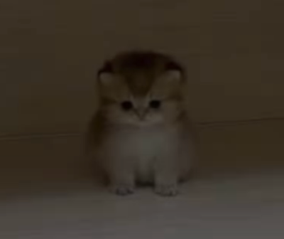 GS