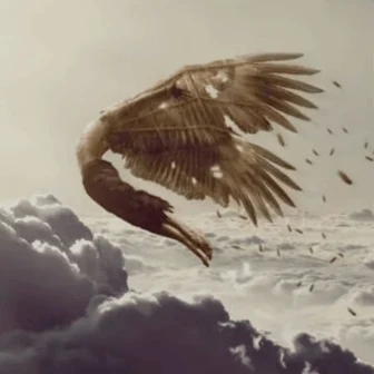 icarus logo