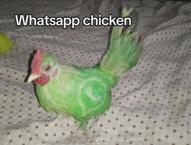 Wchicken