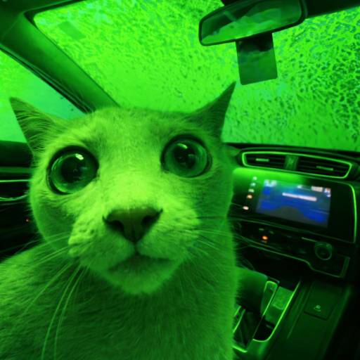 Cozy The Cat logo