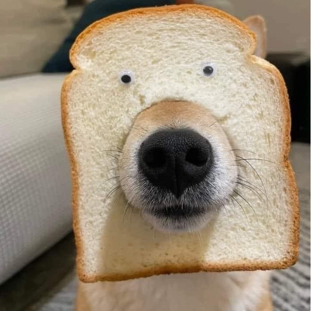 inbread