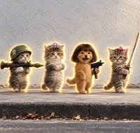 Catbal